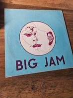 Big Jam Vinyl - Spontane Jam Sessies, Ophalen of Verzenden, Gebruikt, 12 inch