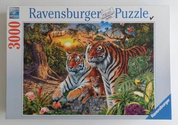 Ravensburger Puzzel 3000 Stukjes Legpuzzel beschikbaar voor biedingen