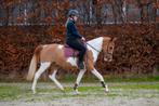 Zeer unieke en knappe bonte allround D pony!!️, Dieren en Toebehoren, Pony's, B, Gechipt, Ruin, Dressuurpony
