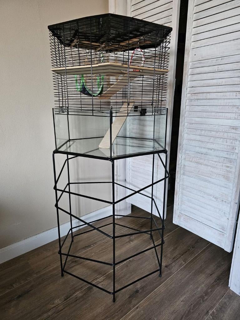 Robuuste knaagdierkooi en standaard Interzoo Vision Hexo XL, Dieren en Toebehoren, Kooi, Muis, Minder dan 75 cm, Ophalen of Verzenden