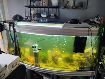 Aquarium met heel veel vis en behoren te koop beschikbaar voor biedingen