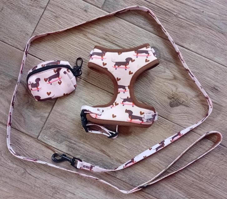 Teckel puppy harnas, bijpassende riem en poepzakjes-houder, Dieren en Toebehoren, Hondenriemen, Nieuw, Hondenriem, Ophalen of Verzenden