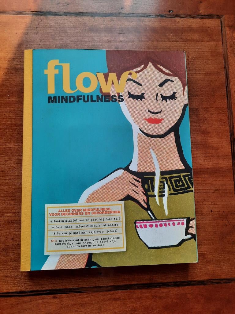 Flow Mindfulness doeboek, Boeken, Flow, Achtergrond en Informatie, Ophalen of Verzenden, Zo goed als nieuw