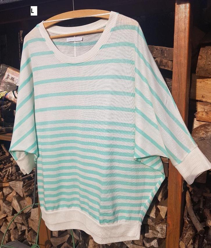 BLOEZEN EN TOPS MAAT L EN XL, Kleding | Dames, Tops, Gedragen, Maat 42/44 (L), Overige kleuren, Lange mouw, Ophalen of Verzenden