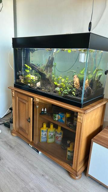 Volledig tropisch aquarium set - alles wat je nodig hebt! beschikbaar voor biedingen