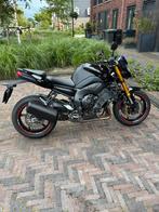 Yamaha Fz 800, Particulier, Naked bike