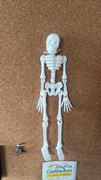 Skelet voor Halloween, Ophalen of Verzenden, Nieuw, Versiering, Abraham of Sarah