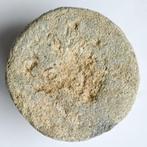 Blokgewicht, 227,26g lood b439, Antiek en Kunst, Ophalen of Verzenden