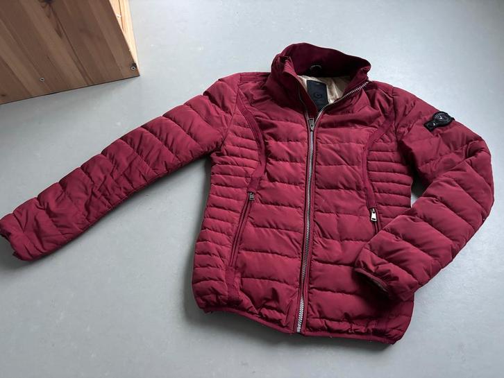 Air Force Bordeaux Tussenjas XS/S, Kleding | Dames, Jassen | Winter, Gedragen, Maat 34 (XS) of kleiner, Rood, Ophalen of Verzenden