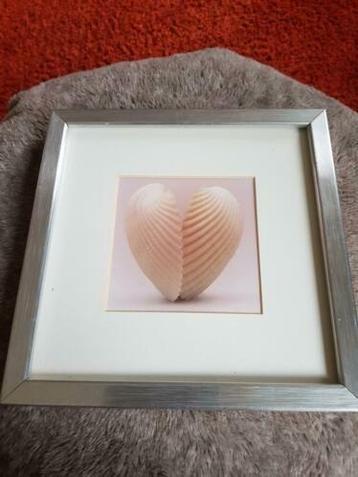 Vierkant zilverkleurig lijstje, pass-partout, schelpen, hart beschikbaar voor biedingen