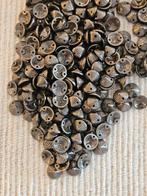 53 Zilverkleurige Studs - 10mm, Hobby en Vrije tijd, Ophalen of Verzenden, Nieuw, Overige typen
