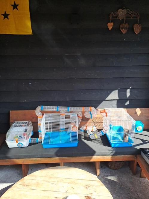 Grote hamsterkooi muizenkooi met veel buizen, Dieren en Toebehoren, Knaagdieren en Konijnen | Hokken en Kooien, Zo goed als nieuw