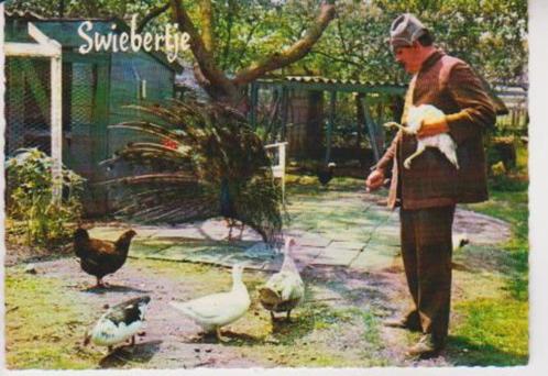 SWIEBERTJE (Joop Doderer) op de boerderij. 02-04, Verzamelen, Ansichtkaarten | Themakaarten, Gelopen, 1960 tot 1980, Sterren en Beroemdheden