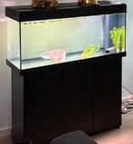 Aquarium, Ophalen, Gebruikt, Leeg aquarium