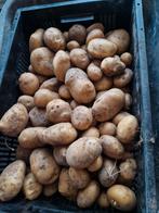 Aardappels frieslanders biologische geteeld, Ophalen