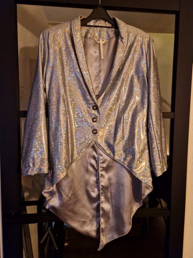 Zilveren dames slipjas, Kleding | Dames, Ophalen, Zo goed als nieuw, Overige kleuren, Jasje