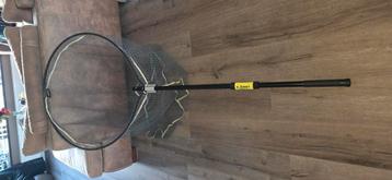 K-don cormoran  beschikbaar voor biedingen