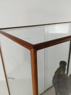 Antieke Museum Vitrinekast – Tijdloos & Karaktervol, Huis en Inrichting, Kasten | Vitrinekasten, Ophalen, ., 25 tot 50 cm, .