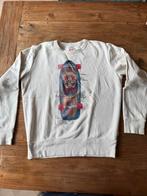 AO76 American Outfitters creme trui maat 14 skateboard, American Outfitters, Trui of Vest, Ophalen of Verzenden, Zo goed als nieuw