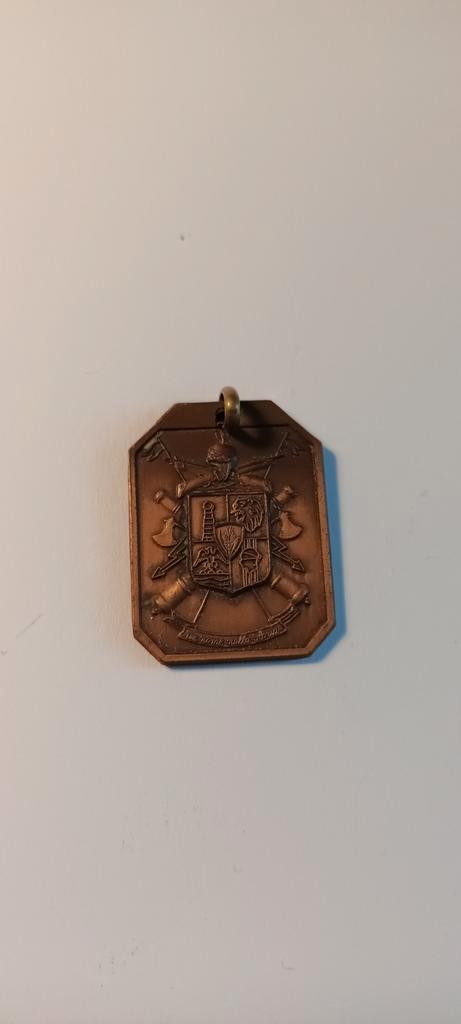 Oude Medaille met Wapen, Antiek en Kunst, Antiek | Overige Antiek, Ophalen of Verzenden