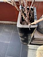 Zwarte Bloempot - Hoog Model, Ophalen, Kunststof, Gebruikt, Vierkant