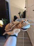 Efteling Pandadroom schildpadknuffel 2018, Ophalen of Verzenden, Zo goed als nieuw