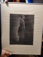 Vintage Litho Vrouwelijk Figuur - Ingelijst, Antiek en Kunst, Kunst | Etsen en Gravures, Ophalen of Verzenden