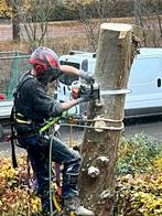 Treeworx boomverzorging, Diensten en Vakmensen, Tuinmannen en Stratenmakers, Garantie, Tuinonderhoud of Snoeiwerk