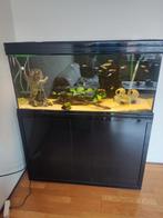 Aquarium 'aquatlantis', Ophalen, Leeg aquarium