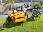 Mooie Qivelo curve 2 bakfiets (nog geen jaar oud), Ophalen of Verzenden, Zo goed als nieuw, Overige merken