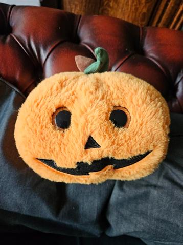 Leuke Pluche Pompoen Knuffel beschikbaar voor biedingen