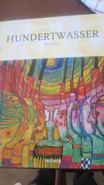 Hundertwasser., Ophalen of Verzenden, Zo goed als nieuw, Harry Rand, Schilder- en Tekenkunst