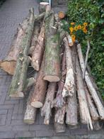 Kachelhout, Tuin en Terras, Haardhout, Minder dan 3 m³, Verzenden, Overige houtsoorten, Blokken