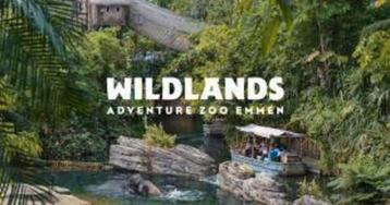 Ticket Wildlands t/m 31 juli 2025 beschikbaar voor biedingen