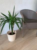 Vincent Sheppard Fauteuil Nieuw Staat, Ophalen of Verzenden, Zo goed als nieuw, Riet of Rotan, Vincent Shepard