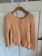 Humanoid Vest Zalmkleur Maat M, Kleding | Dames, Ophalen of Verzenden, Zo goed als nieuw, Maat 38/40 (M), Roze