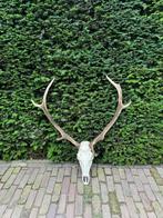 decoratie, Ophalen