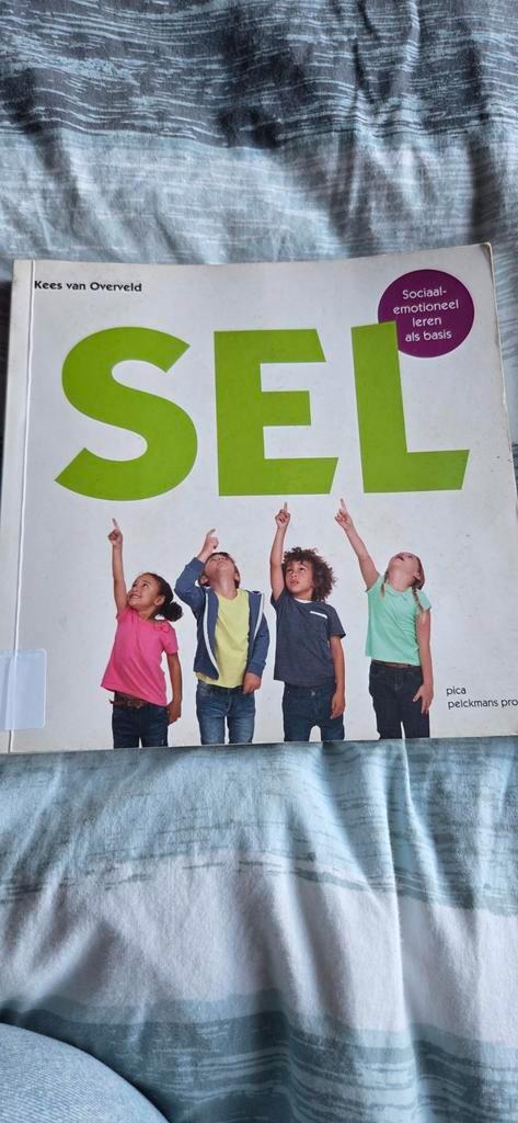 Kees van Overveld - Sel, Boeken, Wetenschap, Zo goed als nieuw, Sociale wetenschap, Ophalen of Verzenden