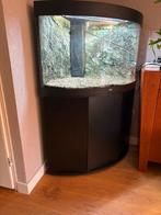 Juwel trigon 190 aquarium / nieuwstaat / bezorging mogelijk, Dieren en Toebehoren, Vissen | Aquaria en Toebehoren, Ophalen, Zo goed als nieuw