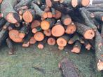 Elzen hout te koop, Tuin en Terras, 6 m³ of meer, Ophalen, Elzenhout, Stammen