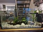 Aquarium, Dieren en Toebehoren, Vissen | Aquaria en Toebehoren, Ophalen, Gebruikt, Leeg aquarium