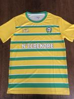 2020-21 Avenir Foot N'zerekore Away voetbalshirt, Guinee, XL, Verzenden, Zo goed als nieuw, Buitenlandse clubs, Shirt