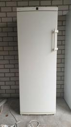 Liebherr vrieskast, Gebruikt, 160 cm of meer, Ophalen, Vrieskast