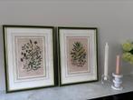 Set van 2 mooie botanische schilderijtjes, Minder dan 50 cm, Schilderij, Ophalen of Verzenden