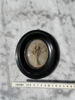 Antiek haarwerk met houten lijst en messing, Ophalen of Verzenden