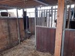 4 stal box wanden met deur (Corton), Dieren en Toebehoren, Stalling en Weidegang