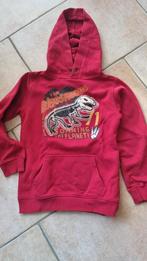 Dinosaurus trui 128, C&A, Trui of Vest, Ophalen of Verzenden, Zo goed als nieuw