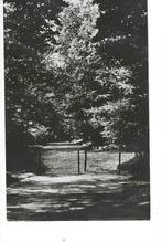 VAASSEN - Cannenburgher Bos, Verzenden, Ongelopen, Gelderland