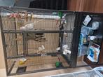 Montana madeira vogelkooi  NIEUW!, Dieren en Toebehoren, Ophalen