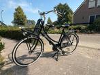 Cortina Roots Transport met Handrem en Versnellingen, Ophalen, Versnellingen, 1 zitje, 53 tot 56 cm
